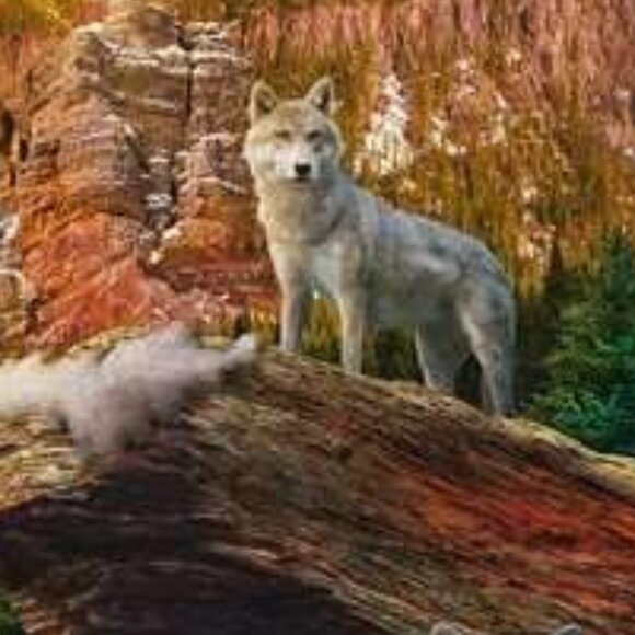 New sealed Ravensburger 1500pcs Puzzle-Wolves In Spring  | Adult Puzzles - Picture 6 of 12